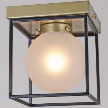 IL0050-1C-79 светильник потолочный